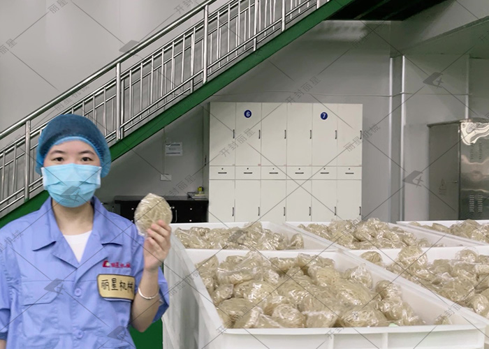 走进酸辣粉生产线,看淀粉如何变身为 Q 弹粉丝 走进酸辣粉生产线,看淀粉如何变身为 Q 弹粉丝