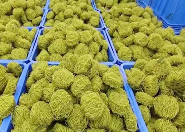 方便粉丝生产线也能加工羽衣甘蓝?答案是肯定的! 方便粉丝生产线也能加工羽衣甘蓝?答案是肯定的!