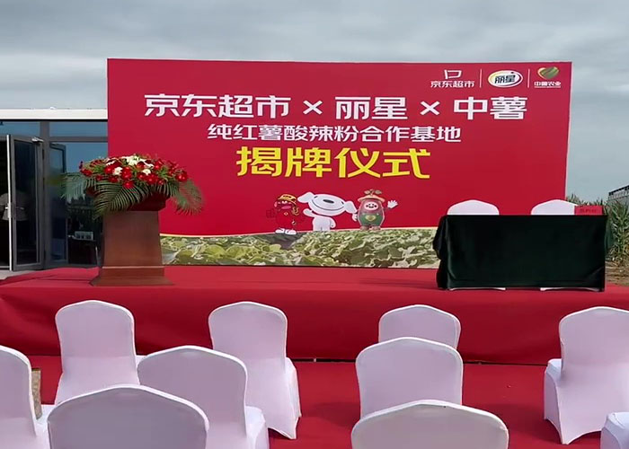 三方联建红薯基地,丽星粉丝加工设备核心优势显著 三方联建红薯基地,丽星粉丝加工设备核心优势显著